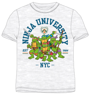 Šedé tričko s krátkým rukávem Želvy Ninja - Ninja University